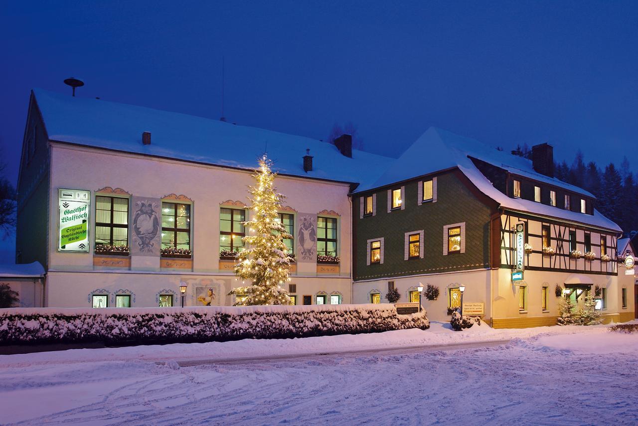 Hotel Gasthof Zum Walfisch Klingenthal Εξωτερικό φωτογραφία