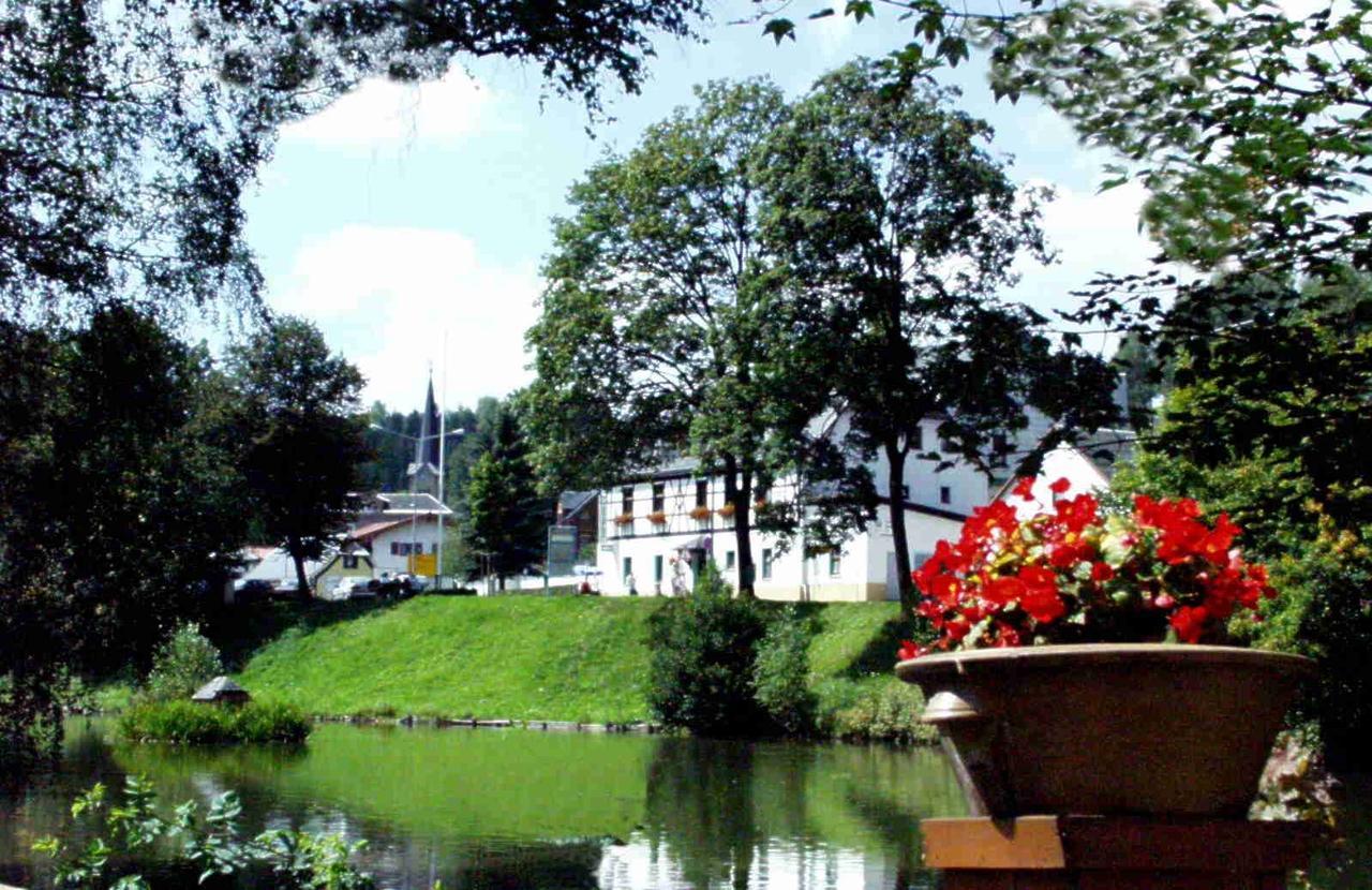 Hotel Gasthof Zum Walfisch Klingenthal Εξωτερικό φωτογραφία