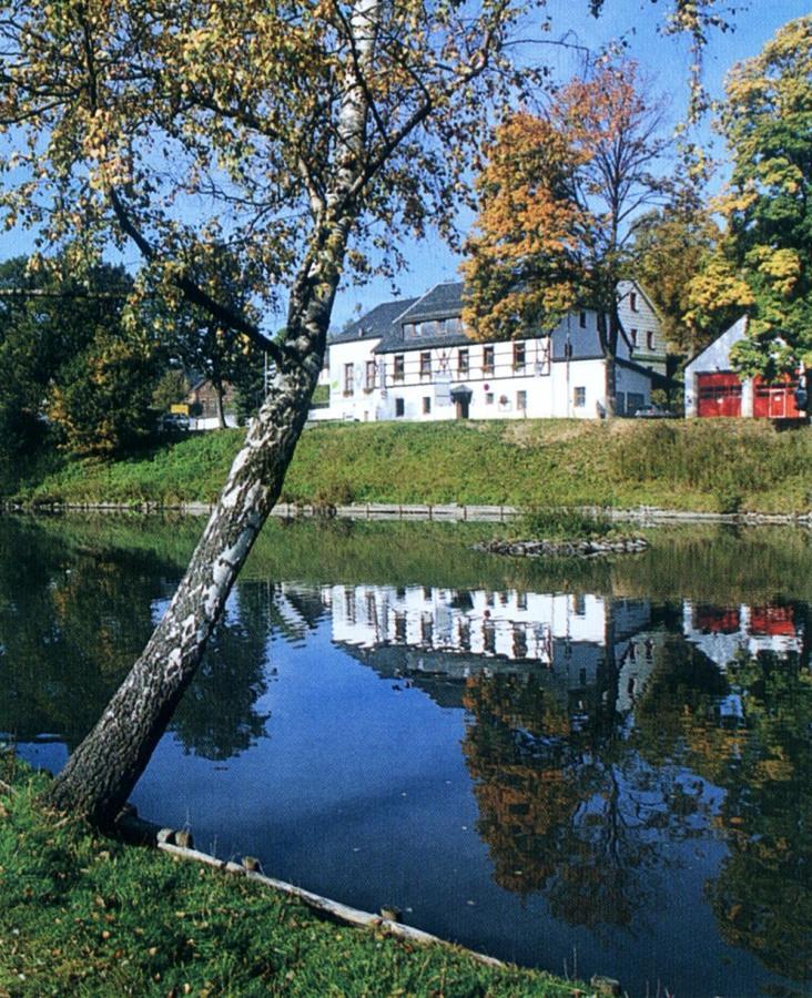 Hotel Gasthof Zum Walfisch Klingenthal Εξωτερικό φωτογραφία