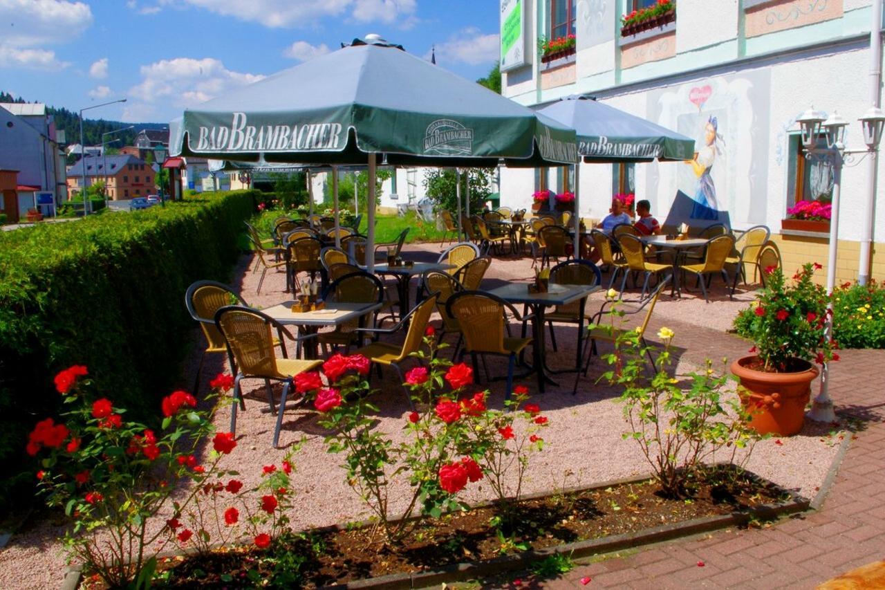 Hotel Gasthof Zum Walfisch Klingenthal Εξωτερικό φωτογραφία
