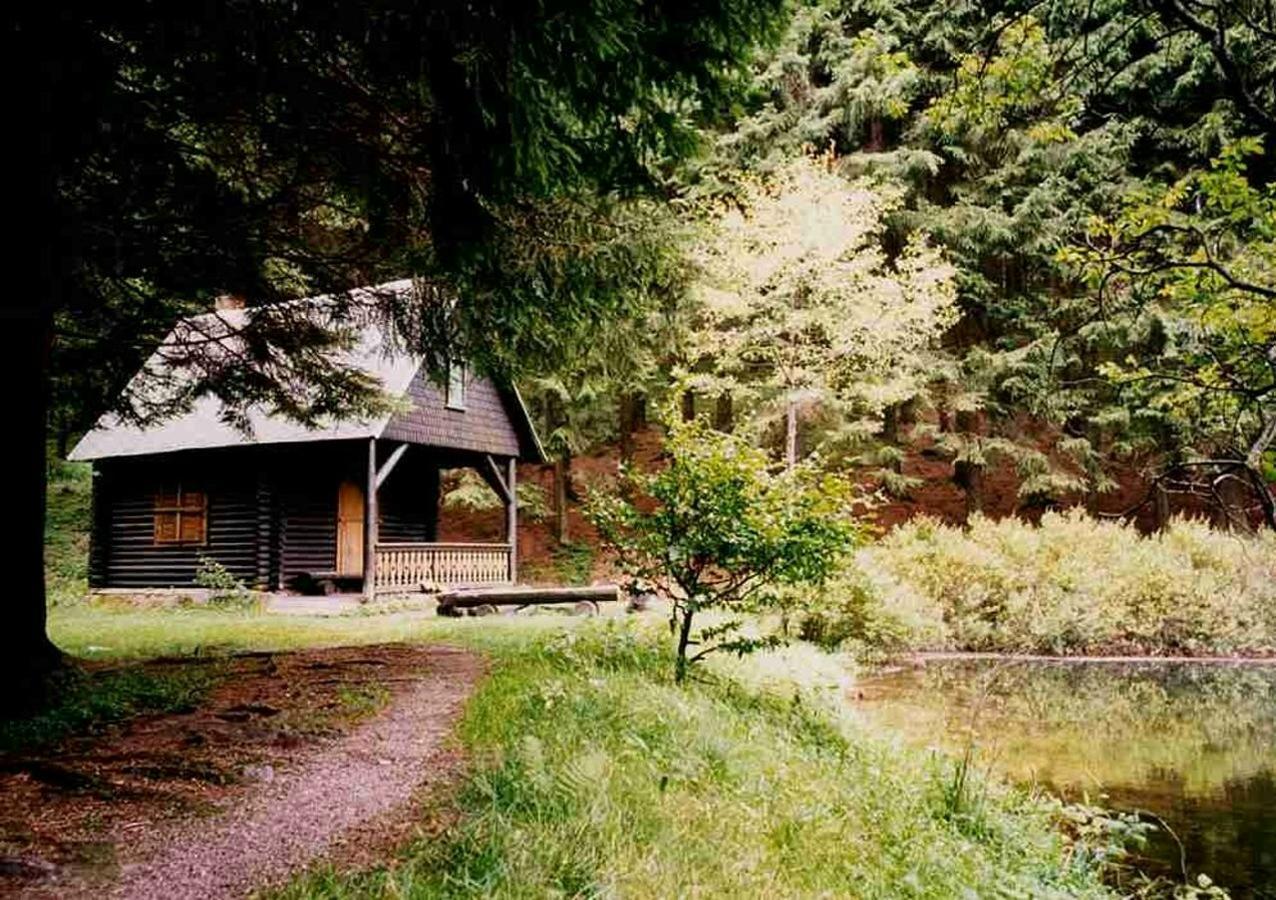 Hotel Gasthof Zum Walfisch Klingenthal Εξωτερικό φωτογραφία